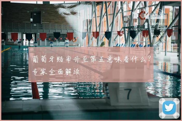葡萄牙赔率升至第五意味着什么？专家全面解读